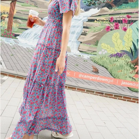 NWT Briton Court SIZE medium Willow Maxi Dress | Strawberries - Picture 3 of 7
